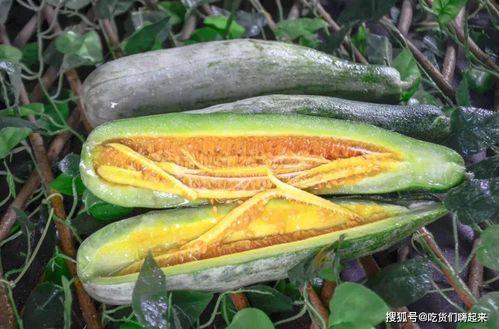 吃网红瓜是什么意思,网络时代下的娱乐风向标 第3张 吃网红瓜是什么意思,网络时代下的娱乐风向标 第3张